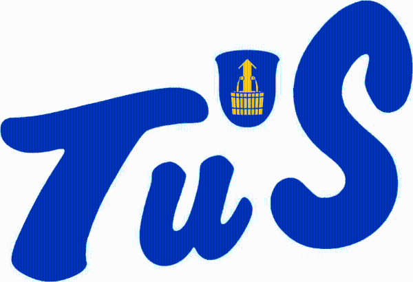 TuS Steinbach 1885